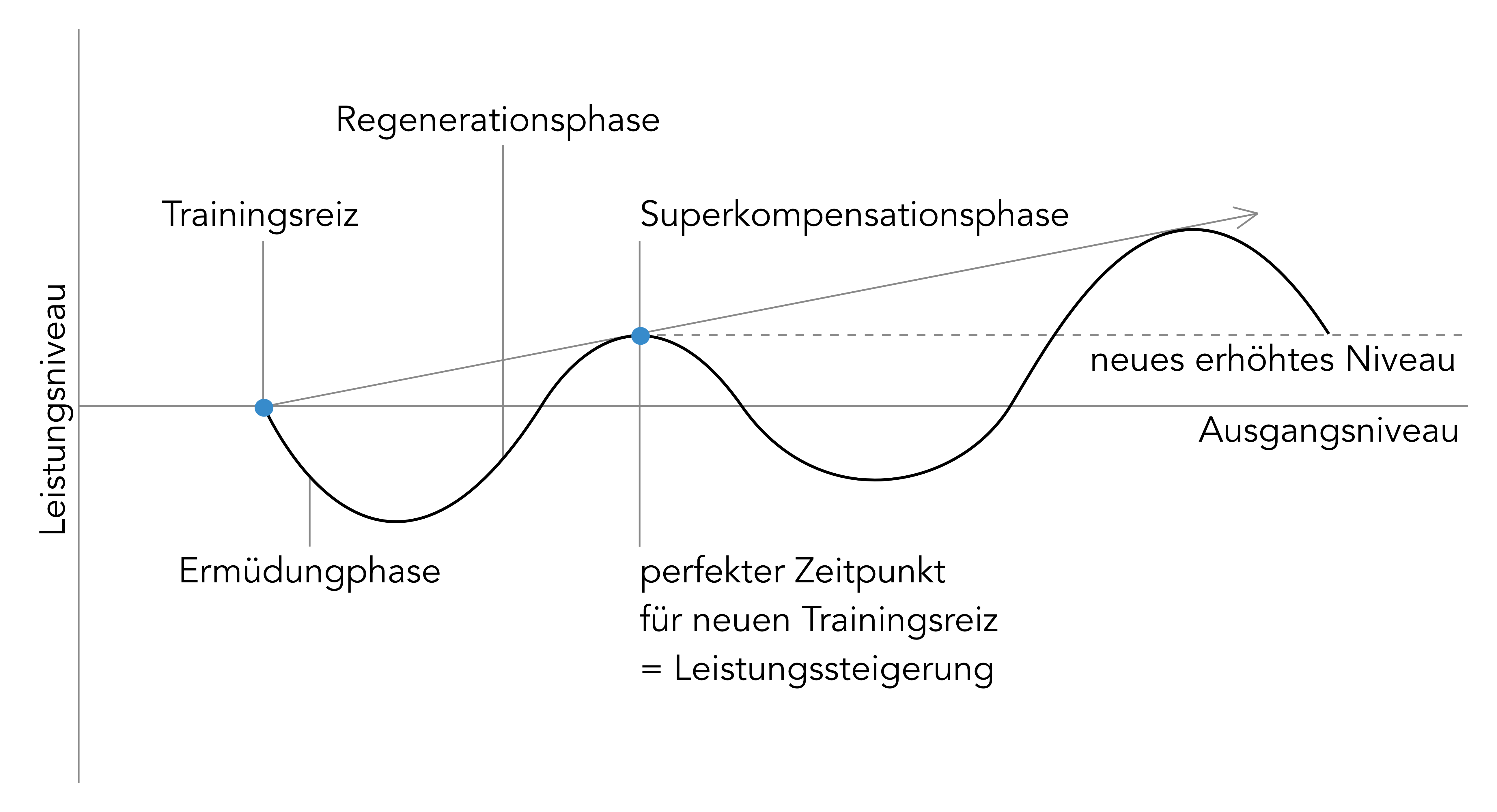 supercompensation theory